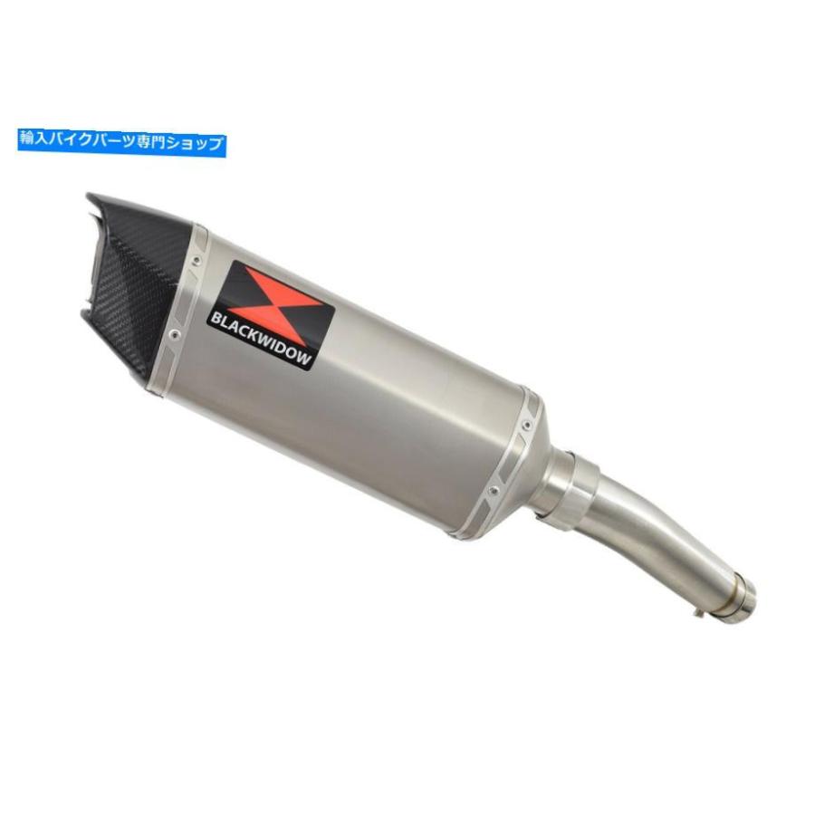 サイレンサー GSX-S 750 2015-2021排気デイパンジット+スポンサム+メーチンズSC30H-オリジナルのタイトルを表示 GSX-S 750 2015-2021 排気サイレンサの画像