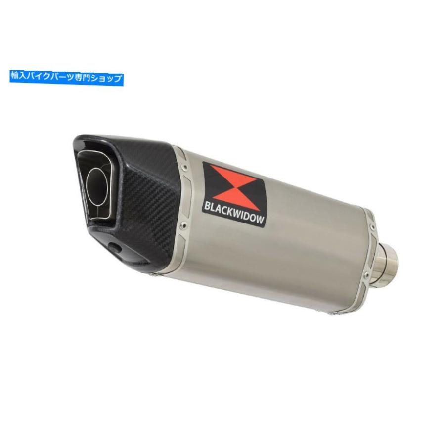 サイレンサー GSX-S 750 2015-2021排気デイパンジット+スポンサム+メーチンズSC30H-オリジナルのタイトルを表示 GSX-S 750 2015-2021 排気サイレンサの画像