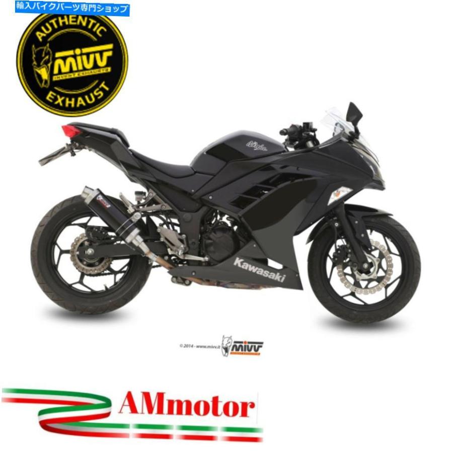 サイレンサー MIVV KAWAKI NINJA 300 2014年パートマイダイヤースリッサンGPブリック - オリジナルのタイトルを表示する Mivv Kawaki Ninja 300 2014