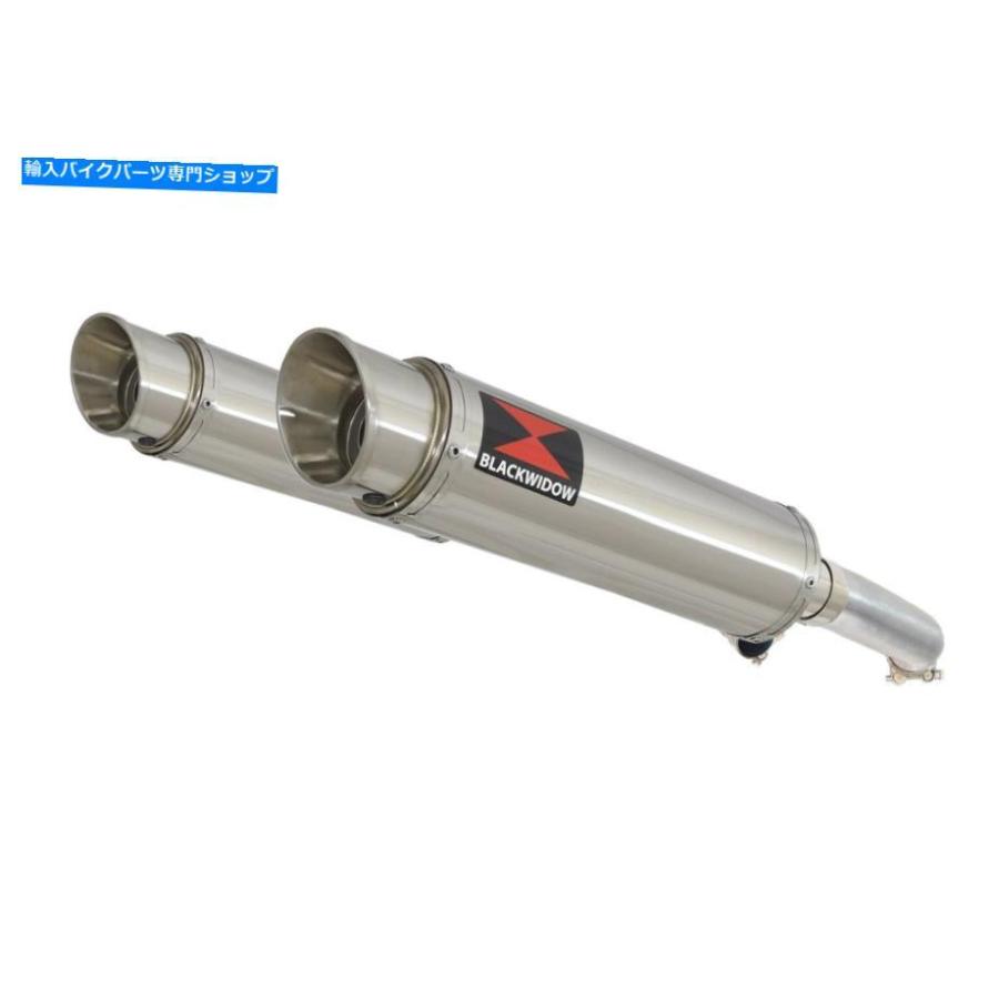 サイレンサー VTR1000F SC36ソフトウェアFV-F6 97-06排気デイパンシェイプSG36R - オリジナルのタイトルを表示 VTR1000F SC36 ファイアストーム FV-F6_1