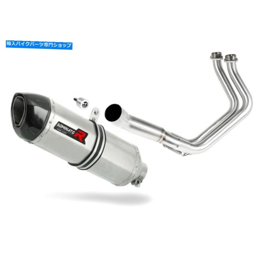 サイレンサー Ninja 650排気HP1カーボンドミネーターレーシングサイレンサーマフラー2017 2018 2019 NINJA 650 Exhaust HP1 Carbon Dominator Racingの画像