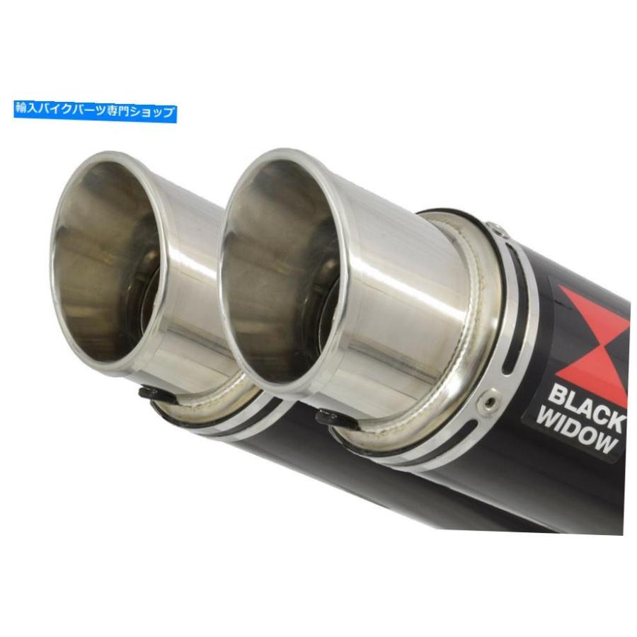 サイレンサー ZZR 1200 4-2エクストラムタ14 \"GPラブラムラックスポンサル：BG35R-オリジナルタイトルを表示する ZZR 1200 4-2 排気マフラーキット 14"_2