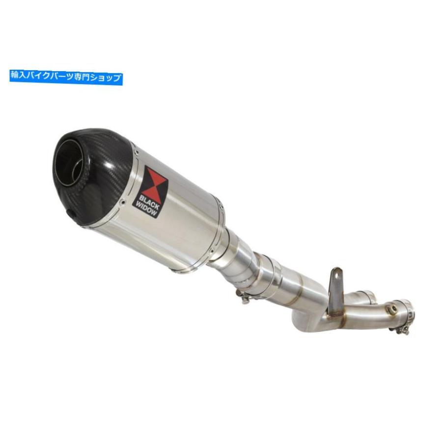 サイレンサー FZ-10 MT10 MT-10 2016-2020スポンサスステール+ブラー200ST-オリジナルのタイトルを表示 FZ-10 MT10 MT-10 2016-2020 ステンレススチーの画像