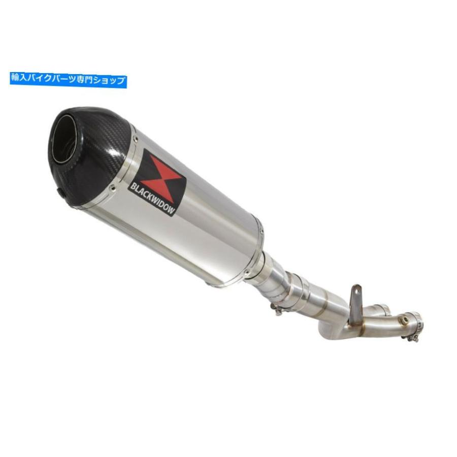 サイレンサー FZ-10 MT10 MT-10 2016-2020スポンサスステール+カラー300ST-オリジナルタイトルを表示 FZ-10 MT10 MT-10 2016-2020 ステンレススチールの画像