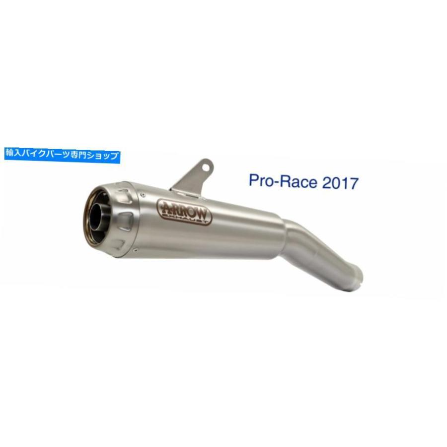 サイレンサー r 9月T 2014-2019用デザインドロンスリーフィッシュアロース - オリジナルのタイトルを表示する R NINE T 2014-2019 用サイレンサー プ