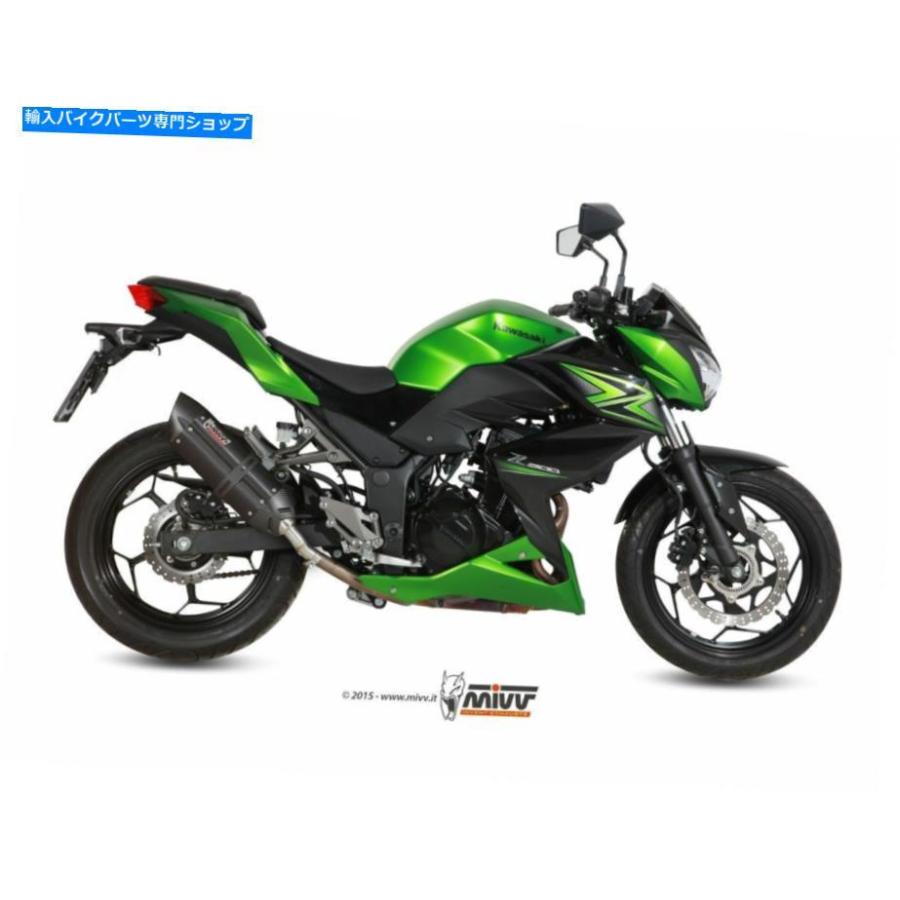 サイレンサー Ninja 300 2013-2016用途サイズのMIVVスミールブラック - オリジナルのタイトルを表示する NINJA 300 2013-2016 用サイレンサー MIVV ス
