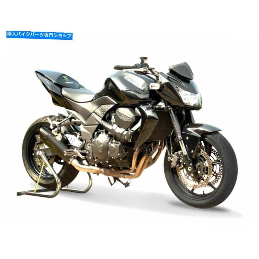 サイレンサー Z 750 R 2007-2014シンガー用デイパンのEvoxtReme HP