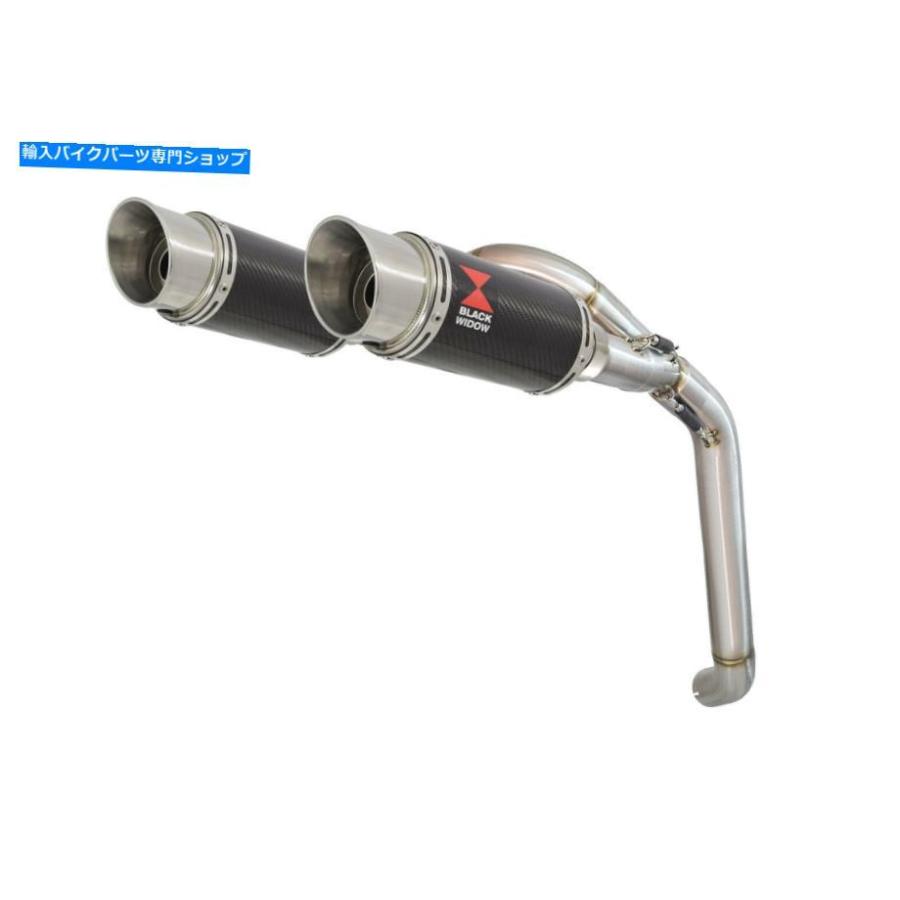 サイレンサー VFR 800 VTEC（RC 46）2002 - 2013年リンバイダイ+ラブンズデイレンバー200CS-オリジナルタイトルを表示 VFR 800 VTEC （ RC 46 ） 2002の画像