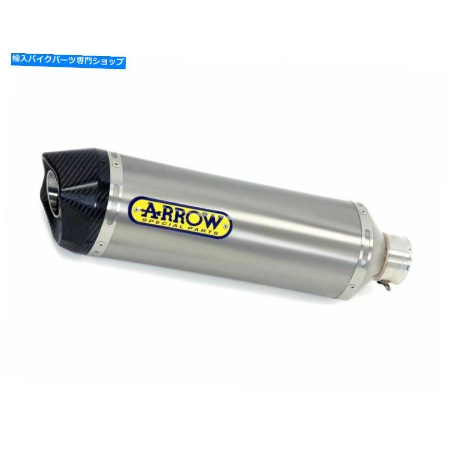 サイレンサー arrowデイビーディスタースケートポタンポタンベーポンRSV4 1100工業用2019-2020-オリジナルのタイトルを表示 Arrowサイレンサーレース