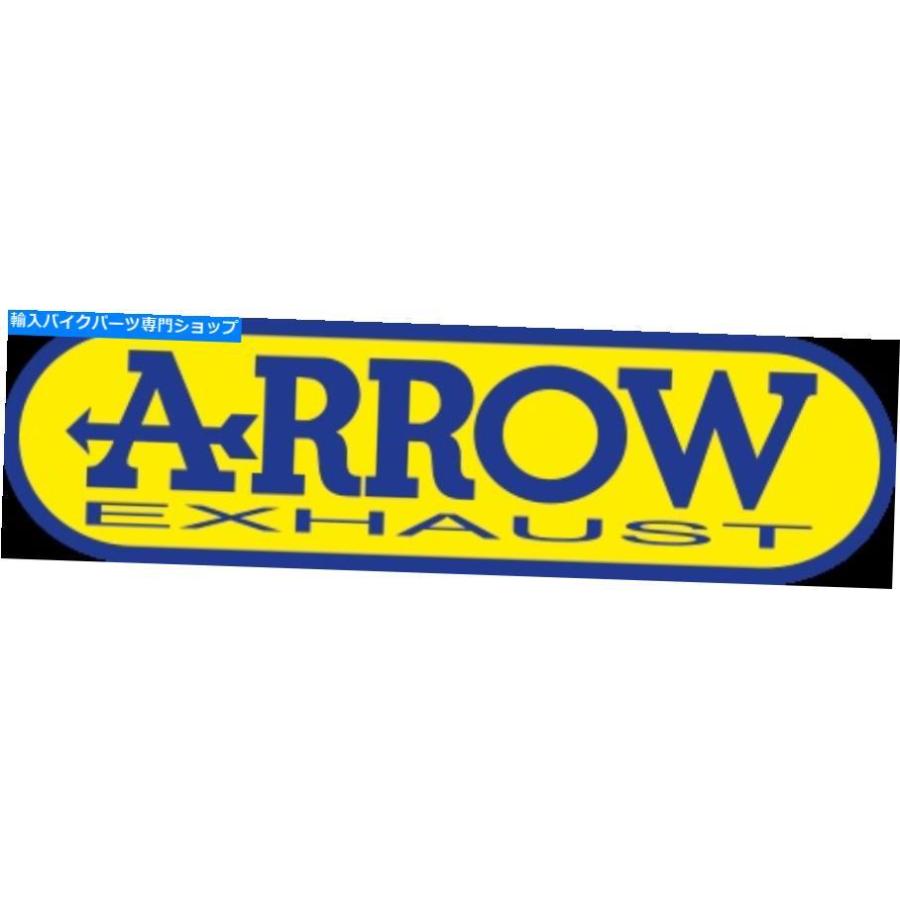 サイレンサー arrow hom nocatザルデイビング - テックチタンC川崎ZX6R