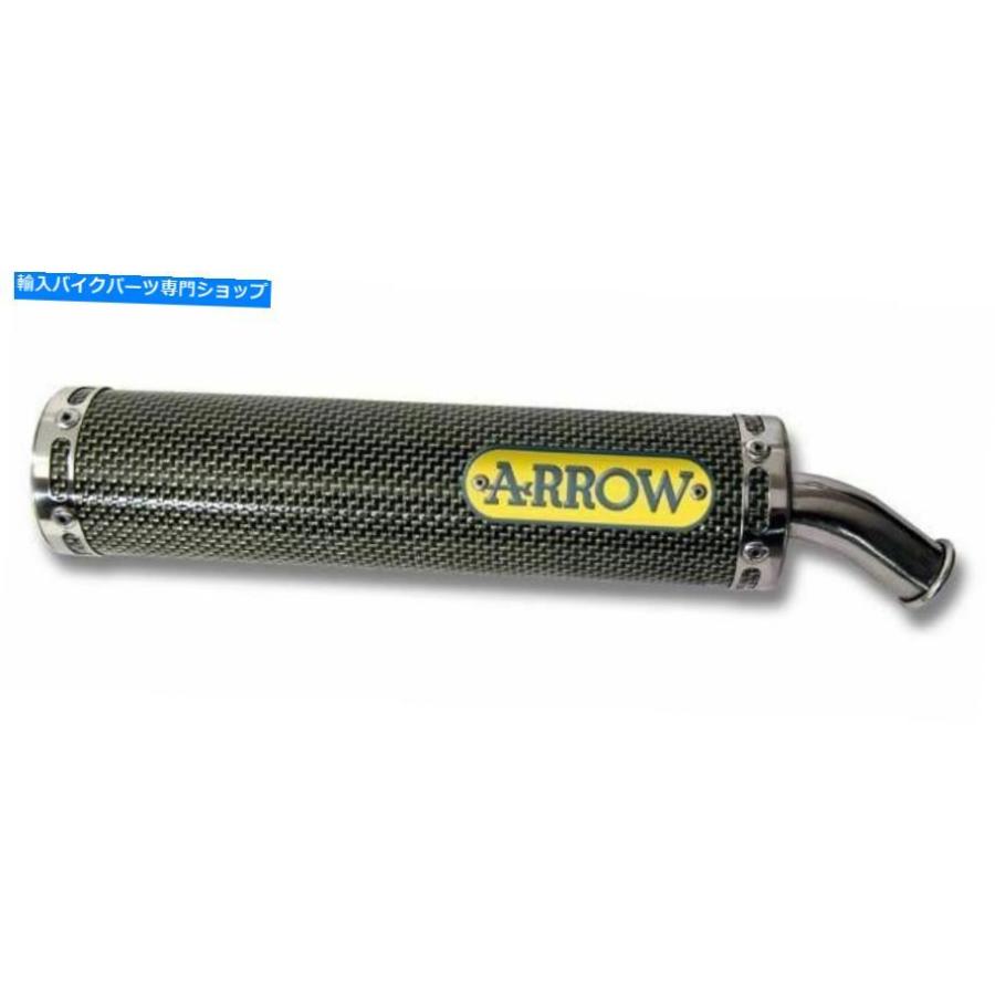 サイレンサー ARROW アロー スリップオンマフラー Kawasaki Arrow