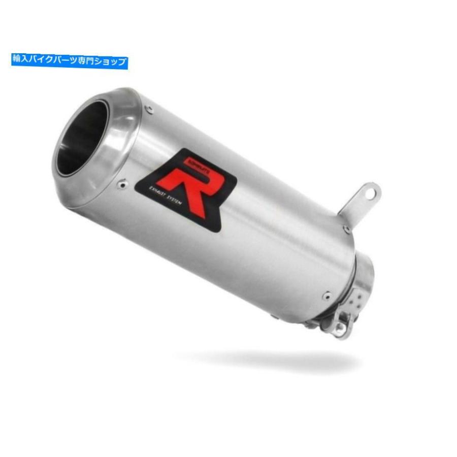 サイレンサー S1000RR←GPベータシンガーデイパンディーラー2009 2010年2011-オリジナルのタイトルを表示する S1000RR 排気 GP ドミネーター レーシンの画像