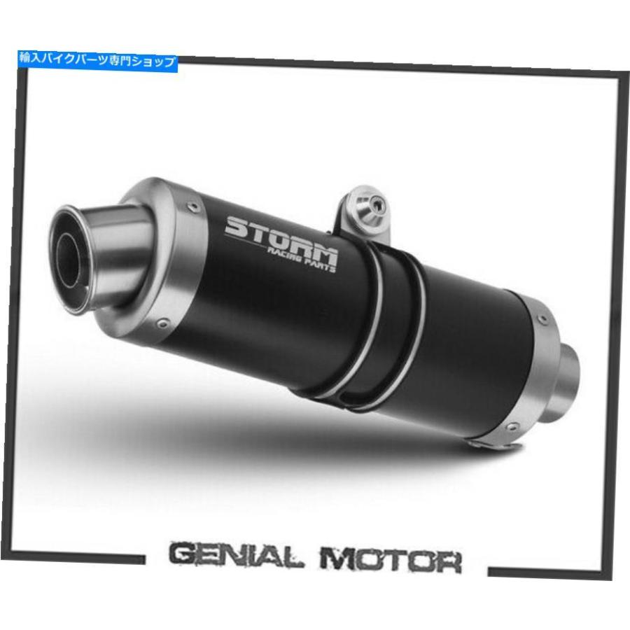 サイレンサー メストゥーズby MivvブラーGPフロスモールヤマハFZS 1000 Fazer 2001> 2005年 - オリジナルのタイトルを表示 エキゾーストーム by Mivv