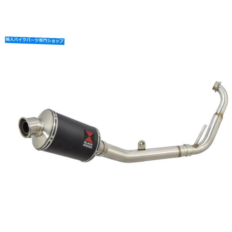 サイレンサー YZF-R125 YZFR 125 08-13?SISSUSERUSLERSLASCスポンサイヤーブラックスポンサイヤーBN23V-オリジナルのタイトルを表示 YZF-R125 YZFR 1の画像