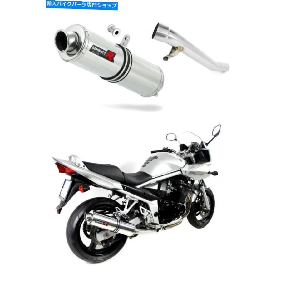 サイレンサー パーストイレカラーカラーシーターラブンドGSF 650Sノギット05-06 + DBカラー - オリジナルのタイトルを表示 エキゾーストサイレンサー
