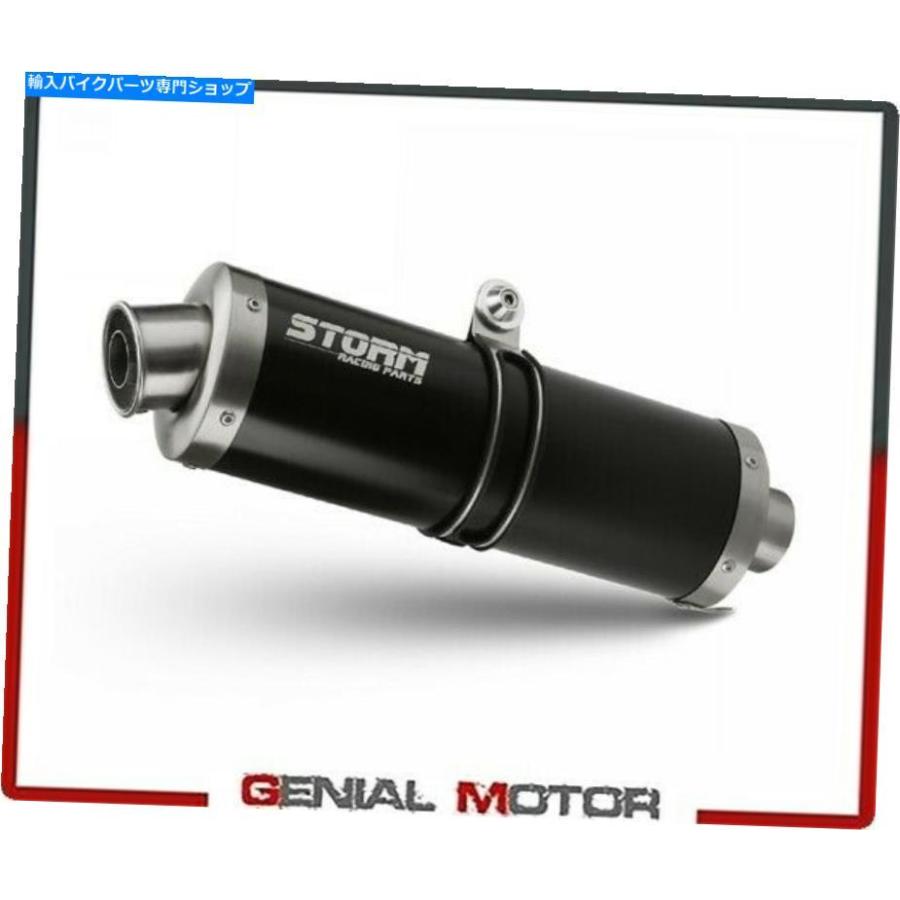 サイレンサー マストゥーズby MIVVカラーヘルスボロスモールスーSV 650 2003-オリジナルタイトルを表示する エキゾーストーム by Mivv マフラー オー