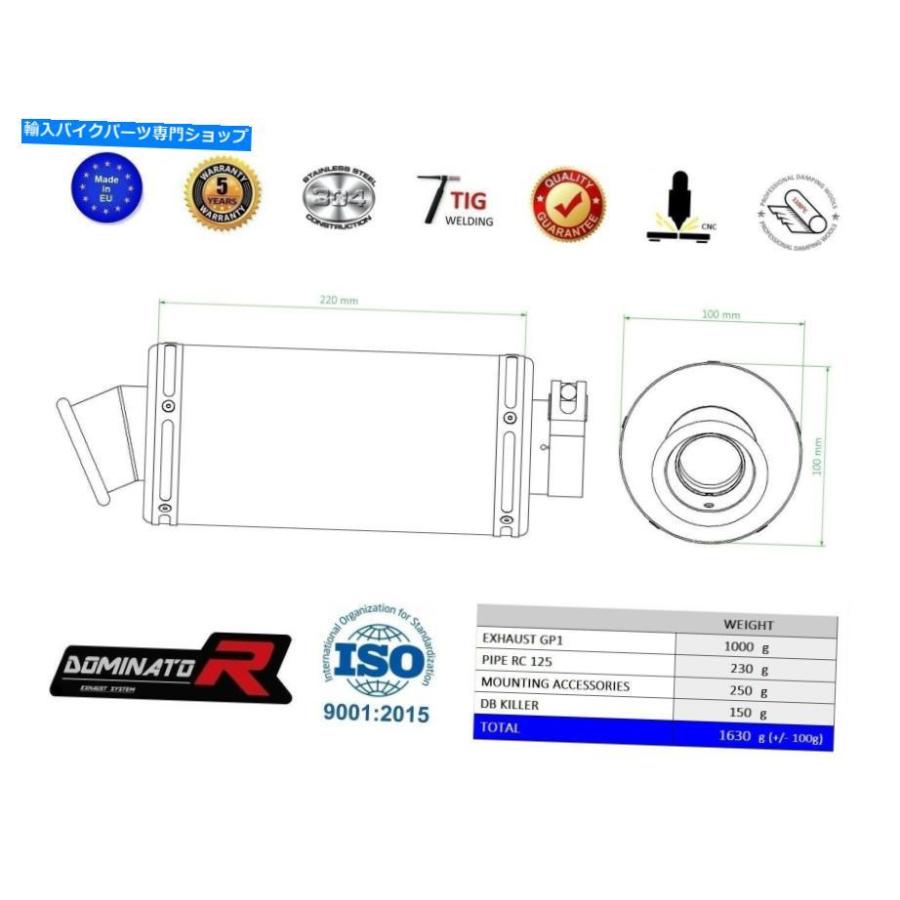 サイレンサー RC 125排気GP Iドーサーシンダイカインダムスウラー2017 2018 2019 2019 2020--オリジナルのタイトルを表示 RC 125 排気GP I ドミネータの画像