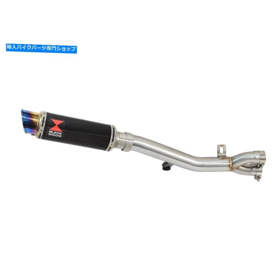 サイレンサー NT650 v Deauville 98-05￥230mm GPラゲンドオルビ・ドラックスポンサスBL23R-オリジナルのタイトルを表示 NT650 V Deauville 98-05 排の画像