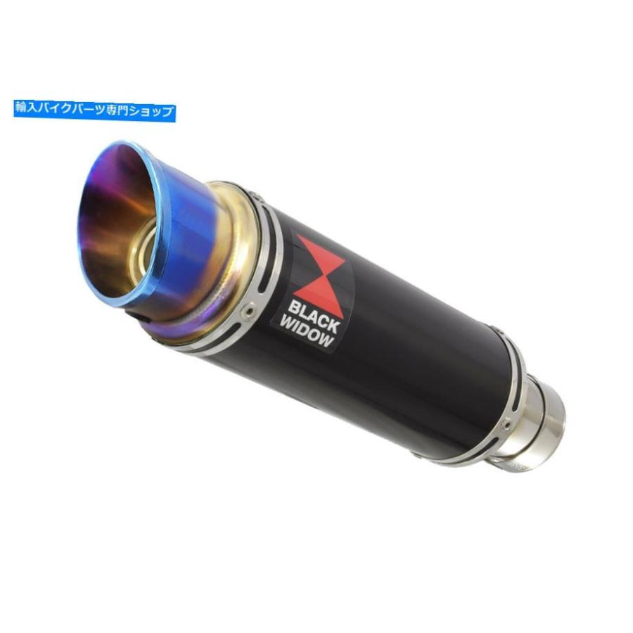 サイレンサー NT650 v Deauville 98-05￥230mm GPラゲンドオルビ・ドラックスポンサスBL23R-オリジナルのタイトルを表示 NT650 V Deauville 98-05 排の画像
