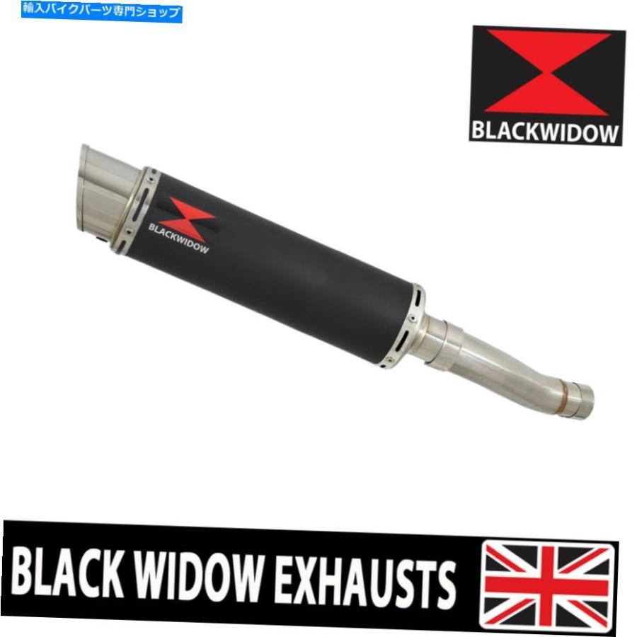 サイレンサー スポーツトリース1050 R 11-15シンボルローザイヤーラ