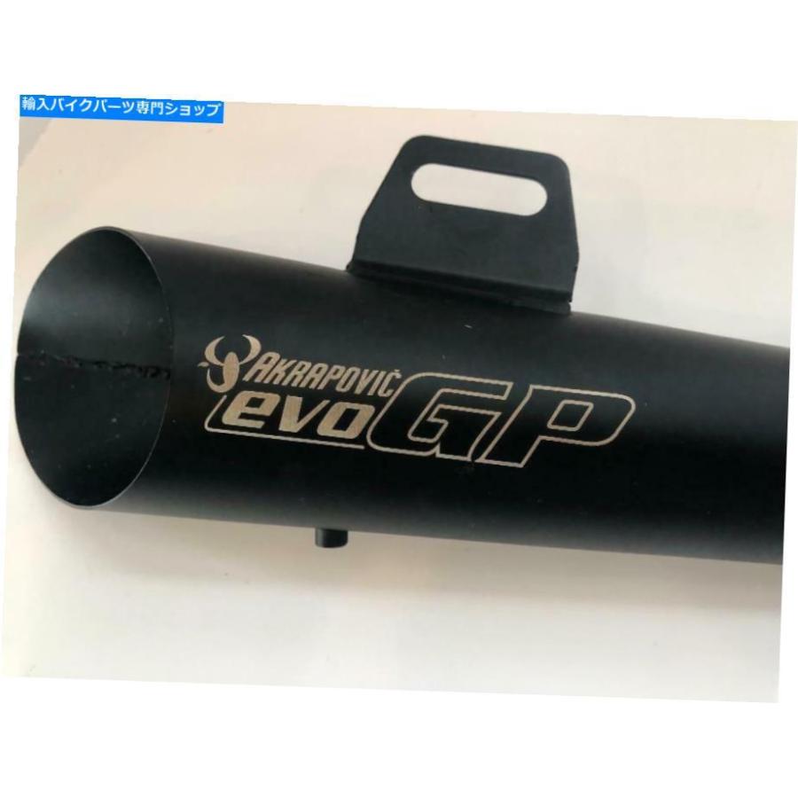 サイレンサー Akrapovic EvoスパートMOTO GP 1台HPデイワーカートダイ