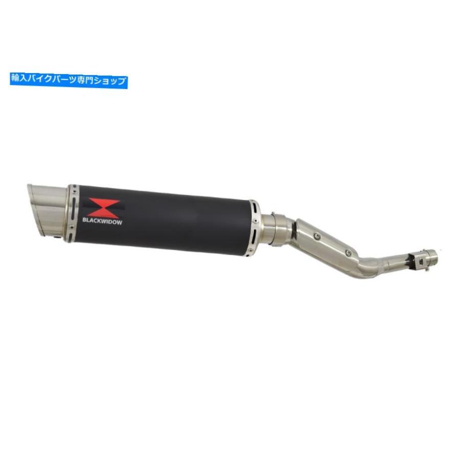 サイレンサー RV 125 RV 200ヴァン排気排気サレレサキ排気排気排気レドブラススパンスBG36R-オリジナルのタイトルを表示 RV 125 RV 200 VAN 排気サイの画像