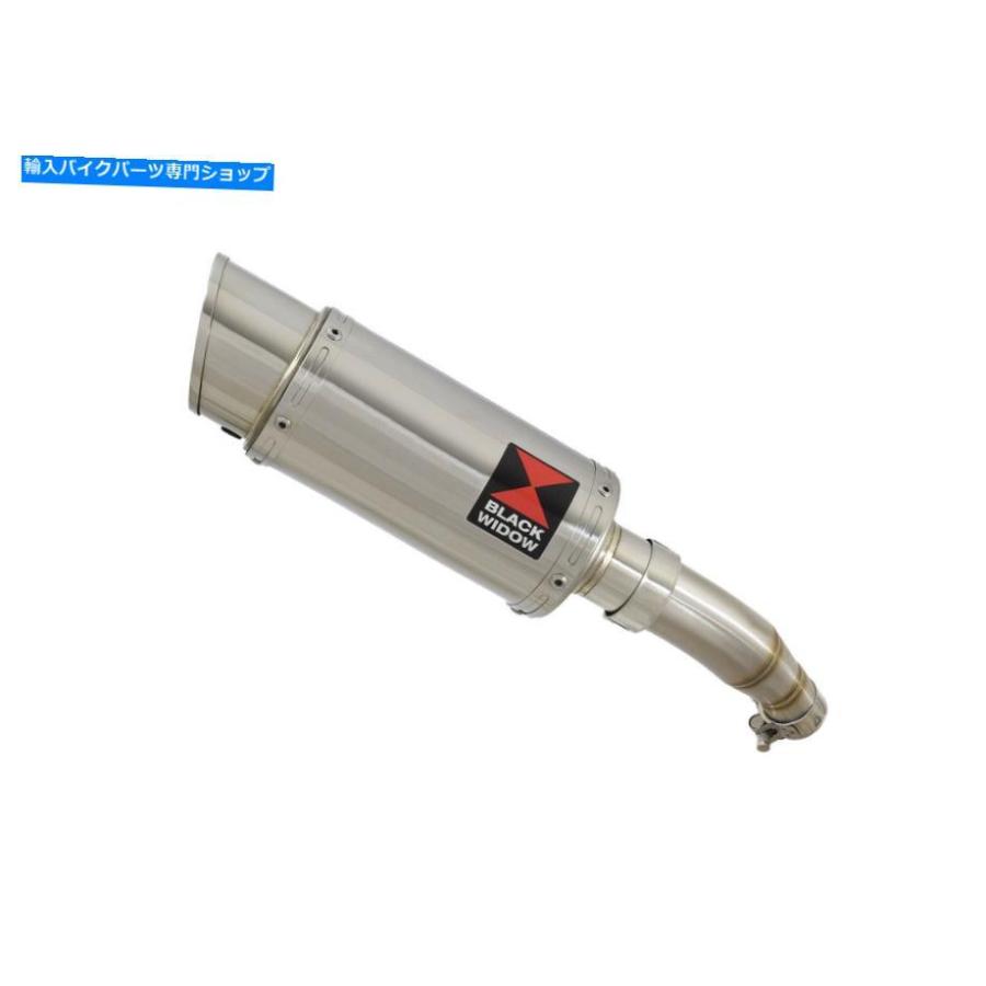 サイレンサー Ninja 250 Z SL排気デイパンラララゲンスパンス