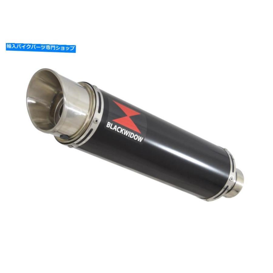 サイレンサー Aprilia RSV4 1000R工場09/14デイパル排気排気レレベレベレベ排気型GPブリックスポールBG36R-オリジナルの役職を表示 APRILIA RSV4 1000の画像