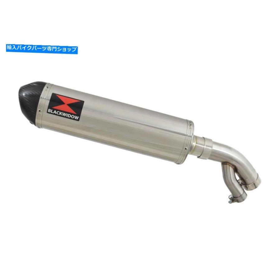 サイレンサー BMW S1000R 2017-2020202020202020202020202020202020202020202020202020202020202020202020 BMW S1000R 2017-2020 排気サイレンサー オの画像