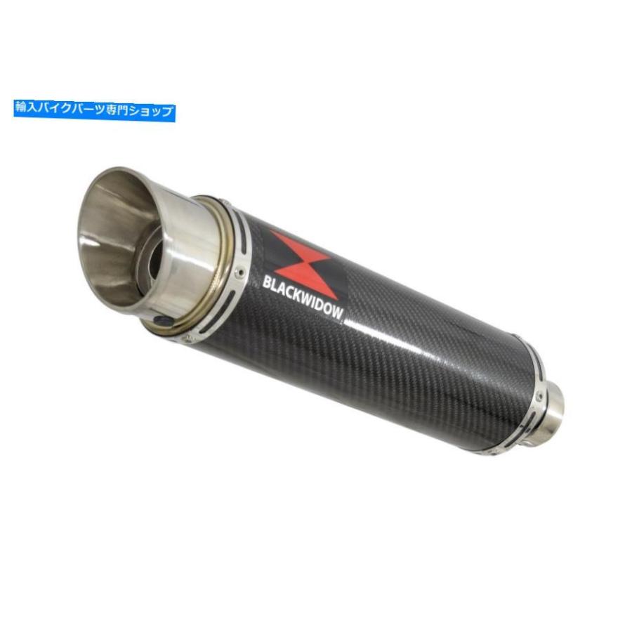 サイレンサー LEXMOTO LXR 125排気デイビンダーGPラブンズメーチンCG 36 Rに合成 - オリジナルのタイトルを表示 Lexmoto LXR 125 排気サイレンサーGPの画像
