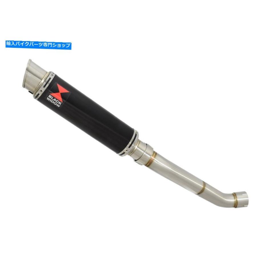 サイレンサー Aprilia RSV4 1000R工場09/14デイパル排気イメージンGPブラスチュールBG35R-オリジナルの役職を表示 APRILIA RSV4 1000R 工場 09/14 ハの画像