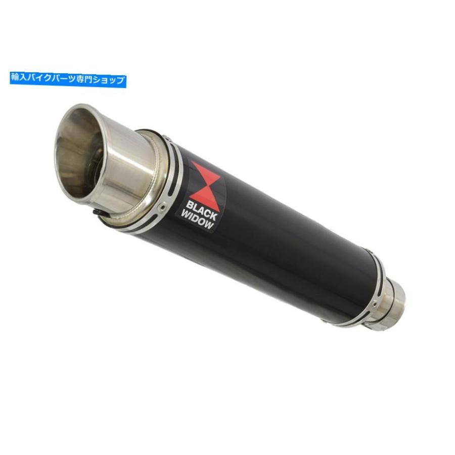 サイレンサー Aprilia RSV4 1000R工場09/14デイパル排気イメージンGPブラスチュールBG35R-オリジナルの役職を表示 APRILIA RSV4 1000R 工場 09/14 ハの画像