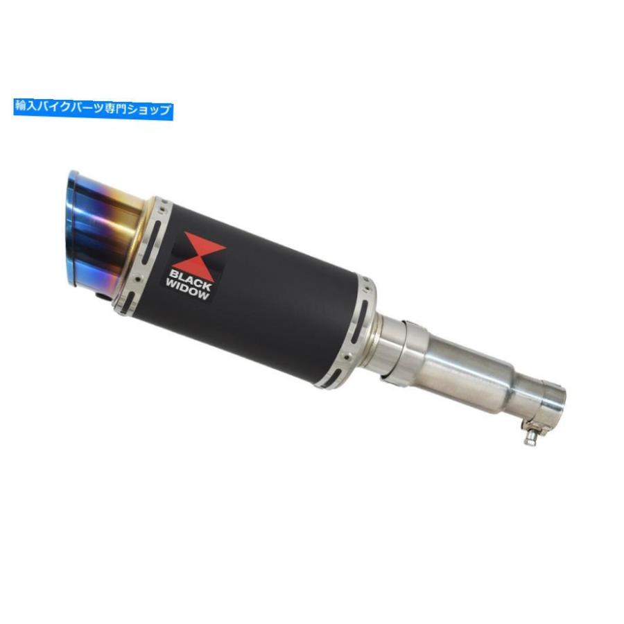 サイレンサー Aprilia RX / SX 125排気デイビーマーラートブラックスポンサルBL 20R-オリジナルのタイトルを表示する APRILIA RX/SX 125 排気サイレンの画像