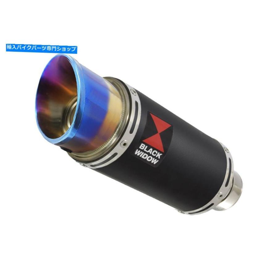 サイレンサー Aprilia RX / SX 125排気デイビーマーラートブラックスポンサルBL 20R-オリジナルのタイトルを表示する APRILIA RX/SX 125 排気サイレンの画像