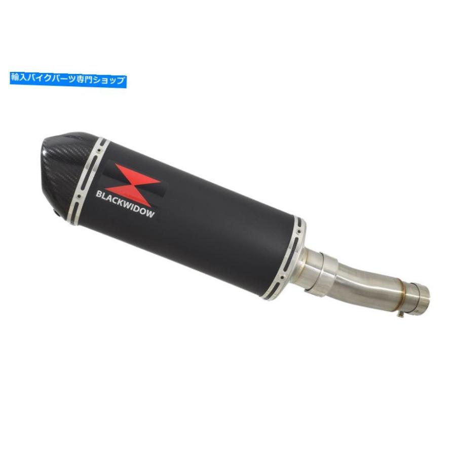 サイレンサー SFV650 Gladius 2009-2016排気デイレンバー300mmブラスチスザエーポンカップ300BT-オリジナルのタイトルを表示 SFV650 GLADIUS 2009-201の画像