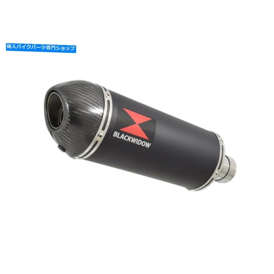 サイレンサー SFV650 Gladius 2009-2016排気デイレンバー300mmブラスチスザエーポンカップ300BT-オリジナルのタイトルを表示 SFV650 GLADIUS 2009-201の画像