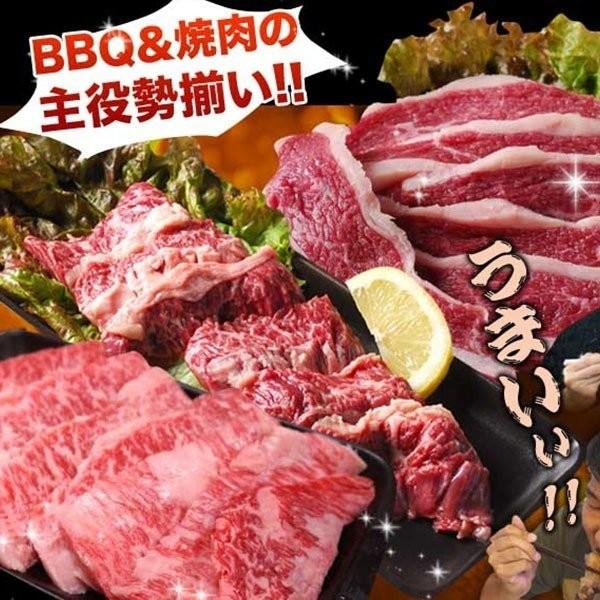 お中元 肉 ホルモン セット 焼肉三種 九州産黒毛和牛A4 カルビ と 上ロース と 特選 牛ハラミ の焼肉セット 各100g 計300g お試し 送料無料 【３種肉】｜rerl｜05