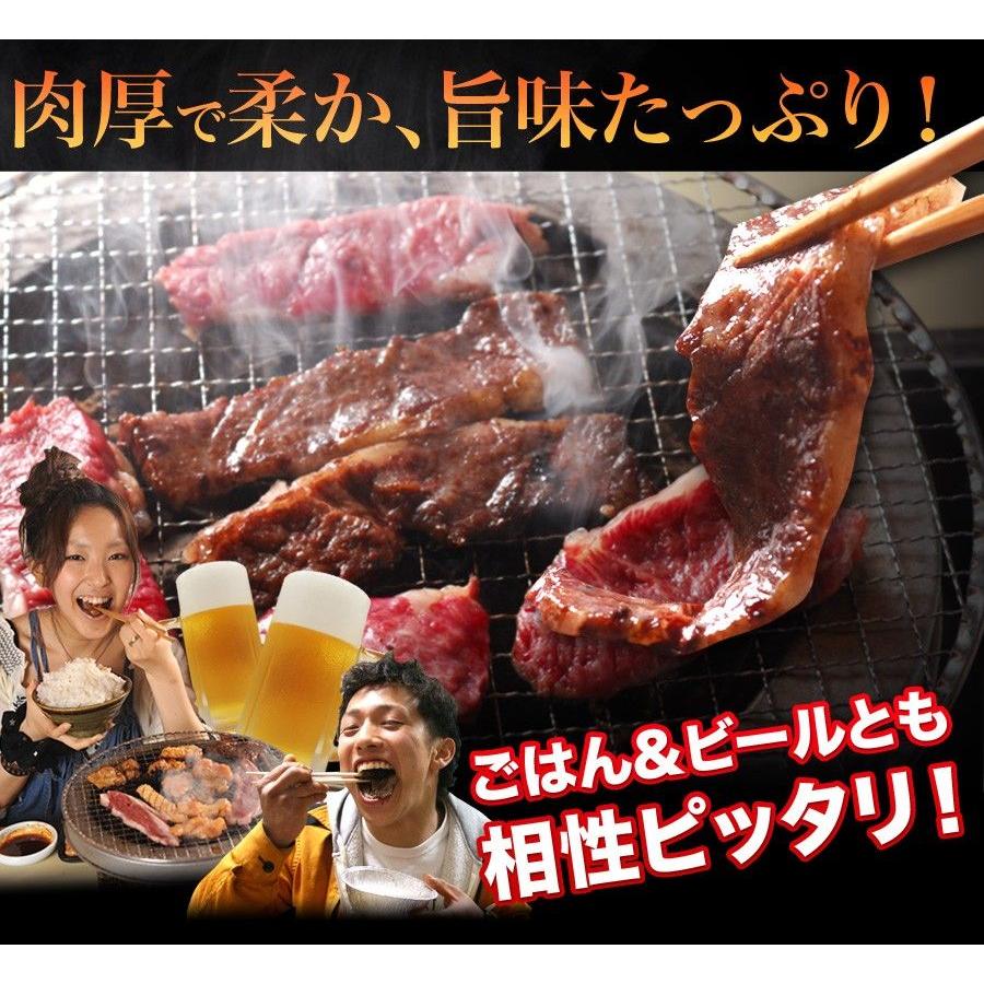 肉 ホルモン バーベキュー セット 大人も子供も嬉しい 4〜5人前 和牛 カルビ ロース 特選ハラミ 牛タン 等 送料無料【大人子供】｜rerl｜03