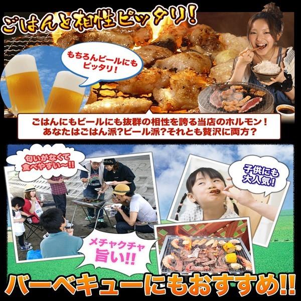 肉 ホルモン バーベキュー セット 大人も子供も嬉しい 4〜5人前 和牛 カルビ ロース 特選ハラミ 牛タン 等 送料無料【大人子供】｜rerl｜06