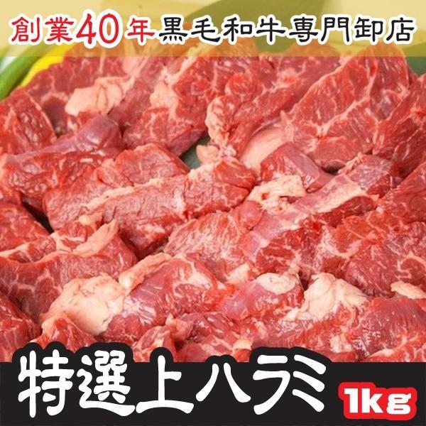 ハラミ 肉 ホルモン 特選 上ハラミ サガリ 200ｇ×5パック 計 1kg 送料無料【ハラミ１kg】｜rerl