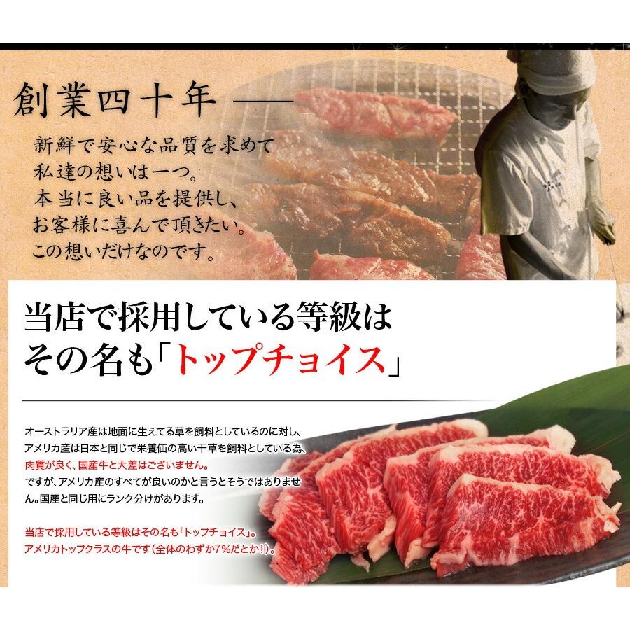 お試し ハラミ 肉 BBQ 特選 牛ハラミ トップチョイスランク 100g 米国産 お試し ホルモン【ハラミ100】 |  | 03