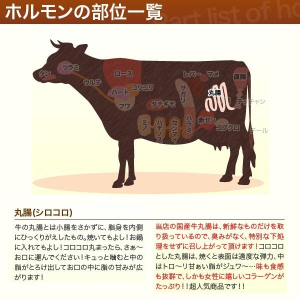 肉 お歳暮 ギフト 21 鍋 宮崎県産 黒毛和牛 マルモツ 丸腸 100g 3パック 計300g シロコロホルモン もつ煮 どて煮 ホルモン 送料無料 Marumotsu 300 特選和牛問屋直営 ホルモンねっと 通販 Yahoo ショッピング
