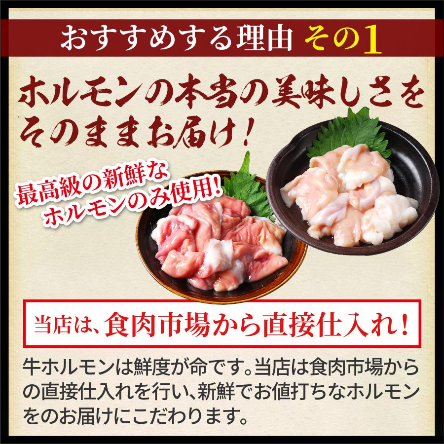 もつ鍋 肉 BBQ ホルモン メガ盛り もつ鍋セット 10人前 選べる スープ 小腸 赤センマイ 選べる 麺 送料無料 もつ 計1.1キロ【10人】 | 宮崎牛 | 12