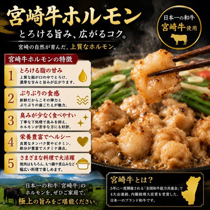 もつ鍋 肉 BBQ ホルモン メガ盛り もつ鍋セット 10人前 選べる スープ 小腸 赤センマイ 選べる 麺 送料無料 もつ 計1.1キロ【10人】 | 宮崎牛 | 12