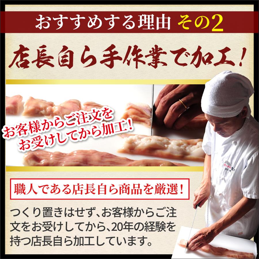 もつ鍋 肉 BBQ ホルモン メガ盛り もつ鍋セット 10人前 選べる スープ 小腸 赤センマイ 選べる 麺 送料無料 もつ 計1.1キロ【10人】 | 宮崎牛 | 13