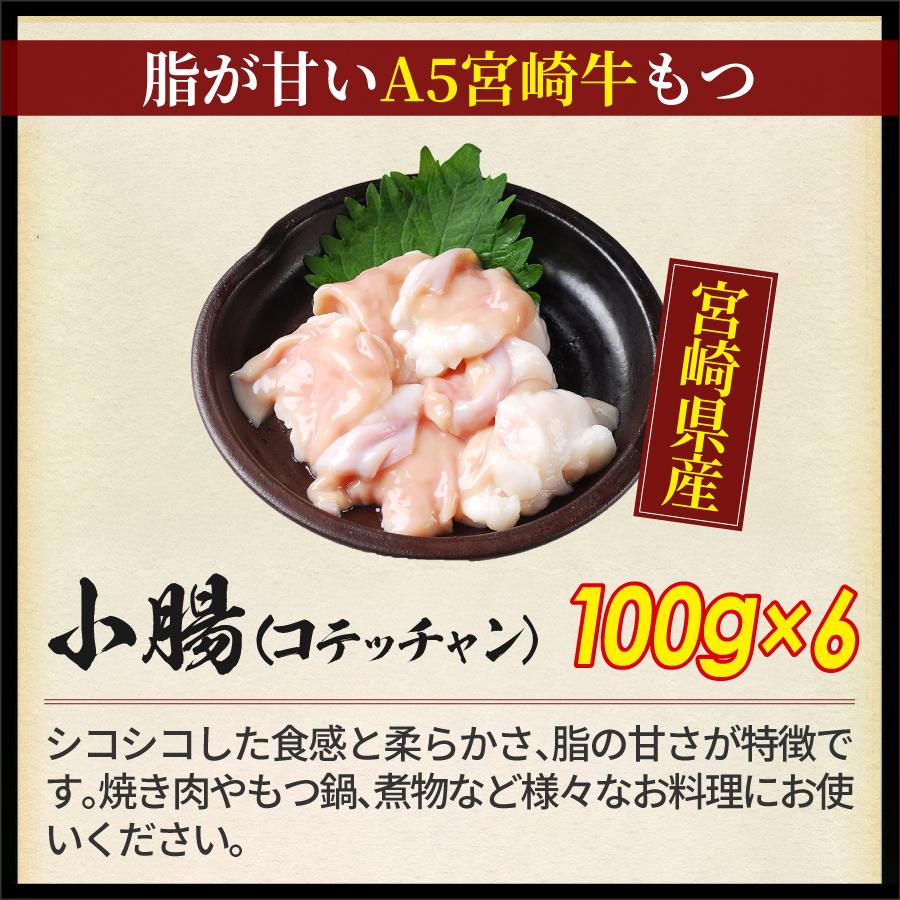 もつ鍋 肉 BBQ ホルモン メガ盛り もつ鍋セット 10人前 選べる スープ 小腸 赤センマイ 選べる 麺 送料無料 もつ 計1.1キロ【10人】 | 宮崎牛 | 07