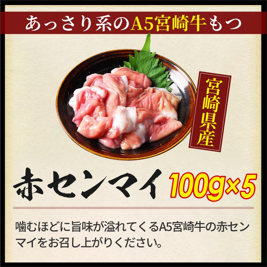 もつ鍋 肉 BBQ ホルモン メガ盛り もつ鍋セット 10人前 選べる スープ 小腸 赤センマイ 選べる 麺 送料無料 もつ 計1.1キロ【10人】 | 宮崎牛 | 08