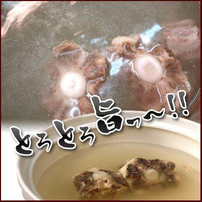 テール 肉 BBQ 鍋 牛ホルモン卸店の九州産 黒毛和牛テール カット済み 500ｇ Ａ5ランク和牛ホルモン ブロック【テール500】 | 宮崎牛 | 01