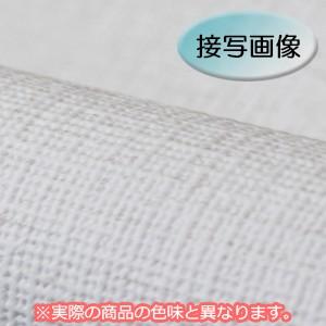 サンゲツ（SANGETSU） 壁紙 生のりつき クロス SP9757-S15 生のり付き