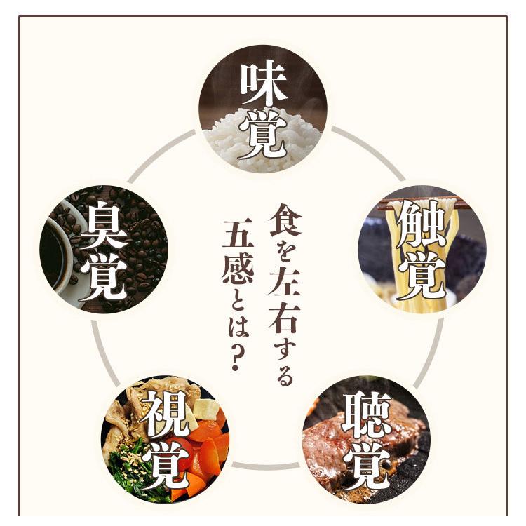 おいしくミキサー筍おかか煮(12袋入り) 介護食 セット ホリカフーズ